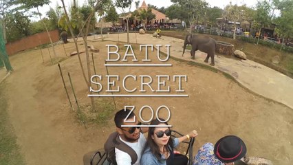 BATU SECRET ZOO! (Beautiful & Modern Zoo In Indonesia)