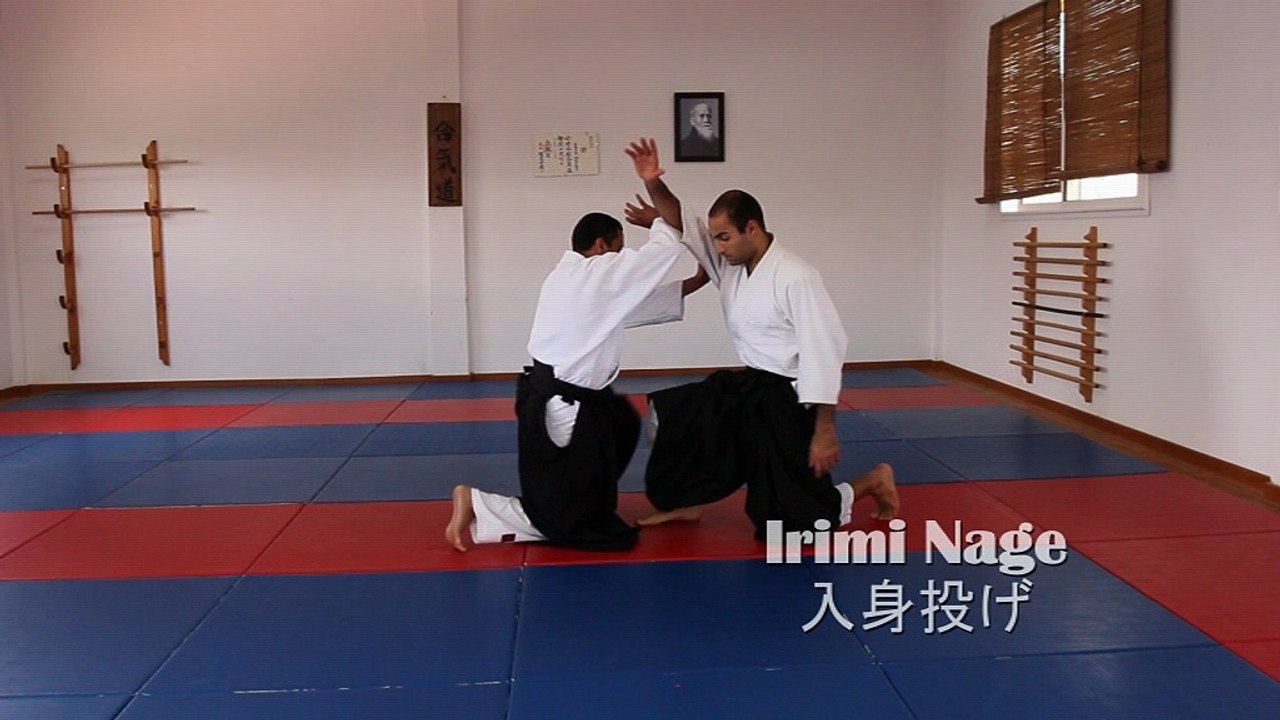 suwari waza_shomen_irimi