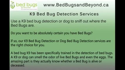 K9 Bed Bug Detection Services