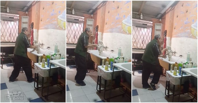Dono de cabeleireiro para animais é visto a cantar e a dançar com cãozinho enquanto lhe dá banho