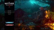 The Witcher 3 Wild Hunt (Wie alles begann!)[Lets Play #1]{German/Deutsch}