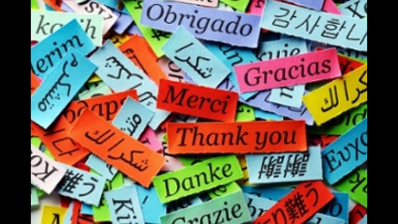 Ever Translation