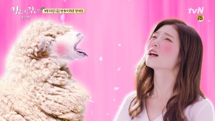 정채연, 부드러움이 온 몸을 감싸고 있어