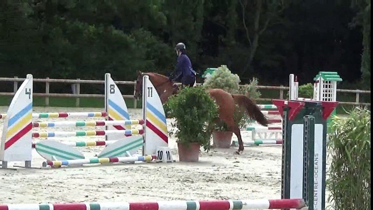 Hongre 9 ans à vendre