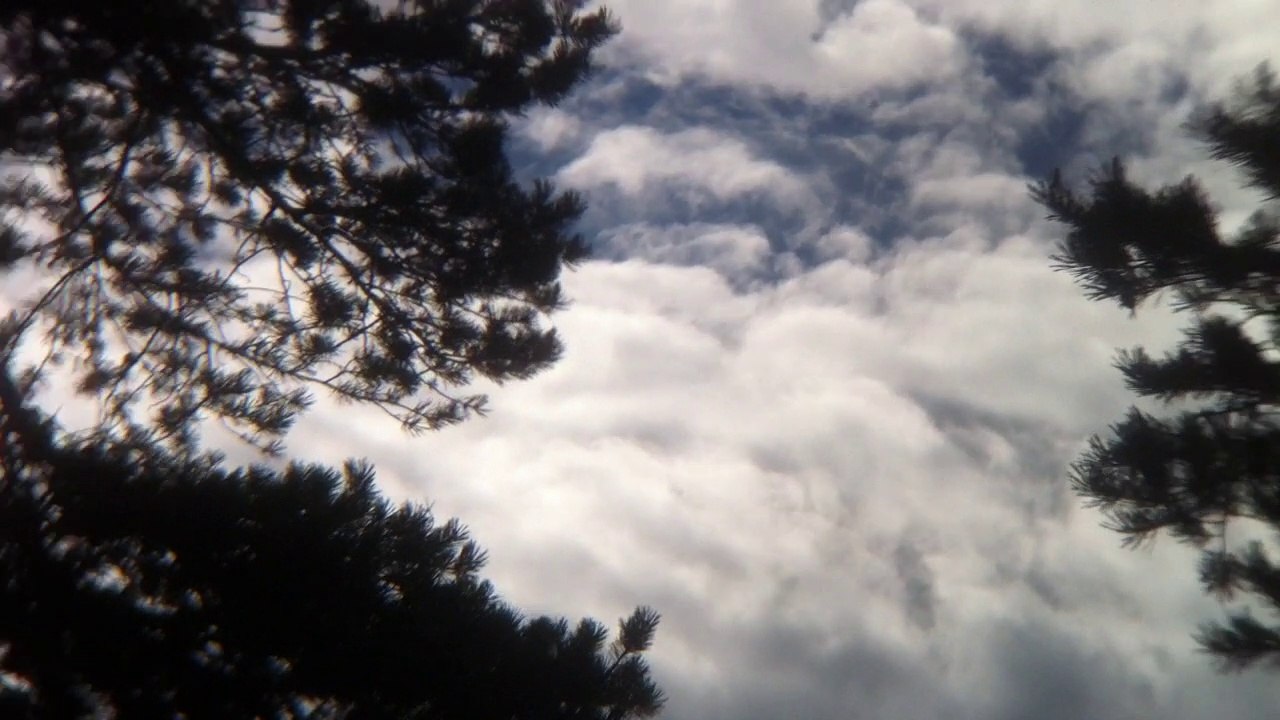 Sep 6 2016 3