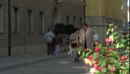 Der ganz normale Wahnsinn Kapitel 11 1979