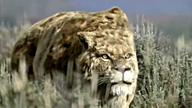 Sur la Terre des Monstres Disparus 5/8 - Dents de Sabre (2001)