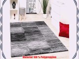 Designer Teppich Modern Wohnzimmer Teppiche Kurzflor Karo Meliert Grau Schwarz GrÃ¶sse:240x320