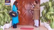 Watch Bulbulay Episode 235 on Ary Digital in High Quality 6th September 2016