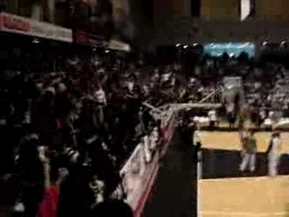 Great Supporters