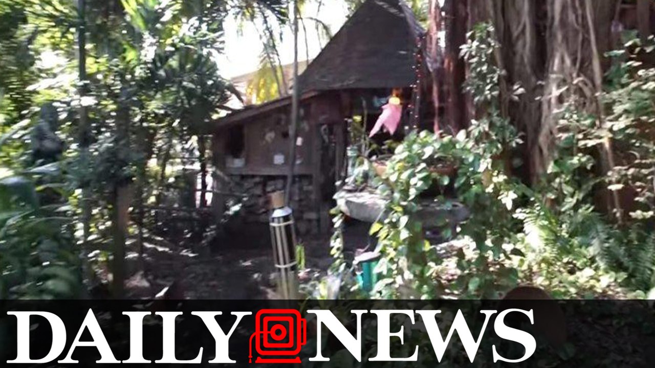 Florida Grandmother Ordered To Leave Illegal Treehouse Home