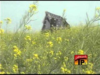 Lut Deti Hai Dil Sadi.