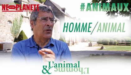 [L'animal&L'homme] Quelle est la différence entre l'Homme et l'animal ?