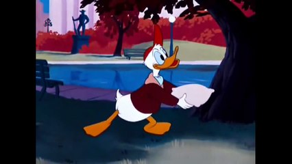 Disney Donald Duck, Chip N Dale Test Pilot Donald-N8tmhreNb8w