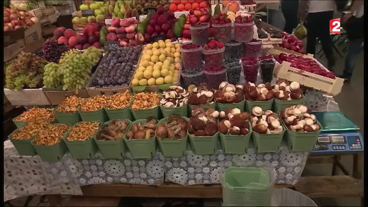 La cueillette des champignons dans le village de Tchernovo en Russie