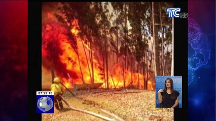 10 incendios forestales se produjeron el fin de semana en Quito