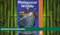 READ book  Madagascar Wildlife 3rd (Bradt Travel Guide Madagascar Wildlife)  BOOK ONLINE
