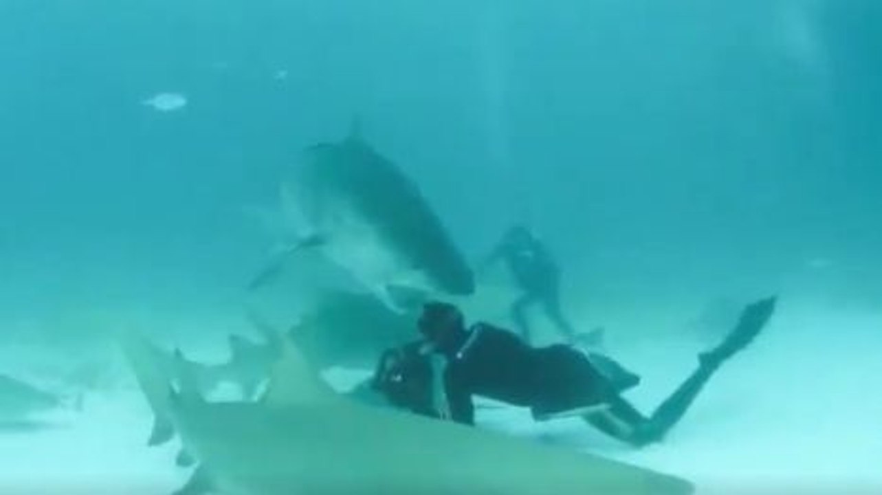 Un photographe évite un requin de justesse!!