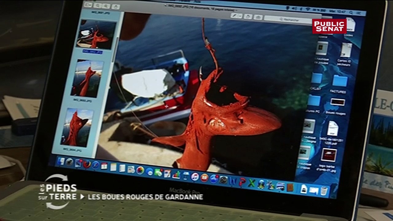 Le scandale des boues rouges - extrait Emission "Les pieds sur terre"