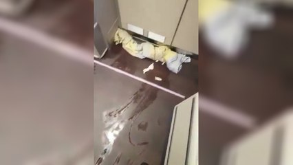 Un Airbus saccagé par des passagers