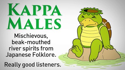 All 24 Types Of Males Explained