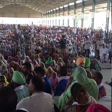 Bhagwant Mann ਰੈਲੀ ਦਾ ਦਾਣਾ ਮੰਡੀ ਘਨੌਰ (2)