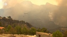 İspanya ve Fransa'da orman yangınları
