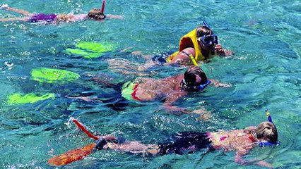 10 Shocking Human - Animal Relationships