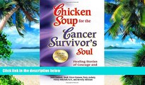 Big Deals  Chicken Soup for the Cancer Survivor s Soul                 *was Chicken Soup fo: