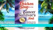 Big Deals  Chicken Soup for the Cancer Survivor s Soul                 *was Chicken Soup fo: