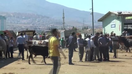 Kurban Bayramı'na Doğru
