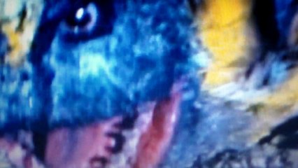 Ben 10 as Ultraman EP.2