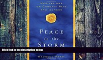 Big Deals  Peace in the Storm: Meditations on Chronic Pain and Illness  Best Seller Books Most