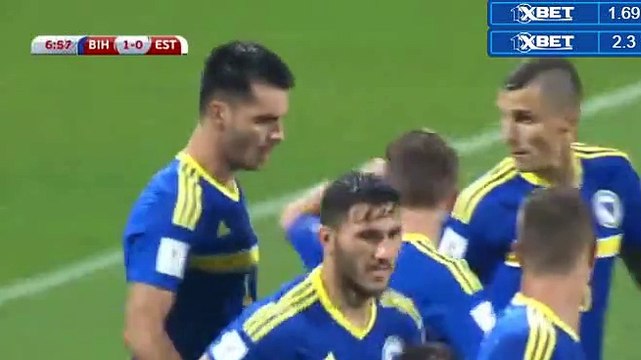 Emir Spahic Goal HD - Bosnia & Herzegovina 1-0 Estonia World Cup European Qualif