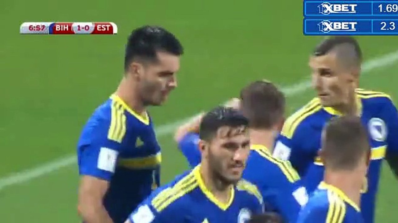 Emir Spahic Goal HD - Bosnia & Herzegovina 1-0 Estonia World Cup European Qualif