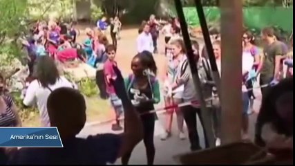 Almanya'da Son Bir Yılda Mültecilerin Durumu