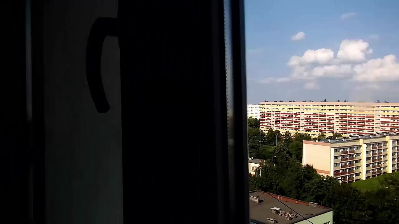 MOV_1817