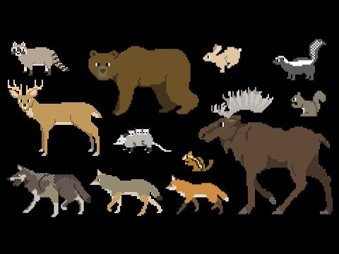 North American Forest Mammals - Forest Animals - The Kids' Picture Show (Fun & Educational)