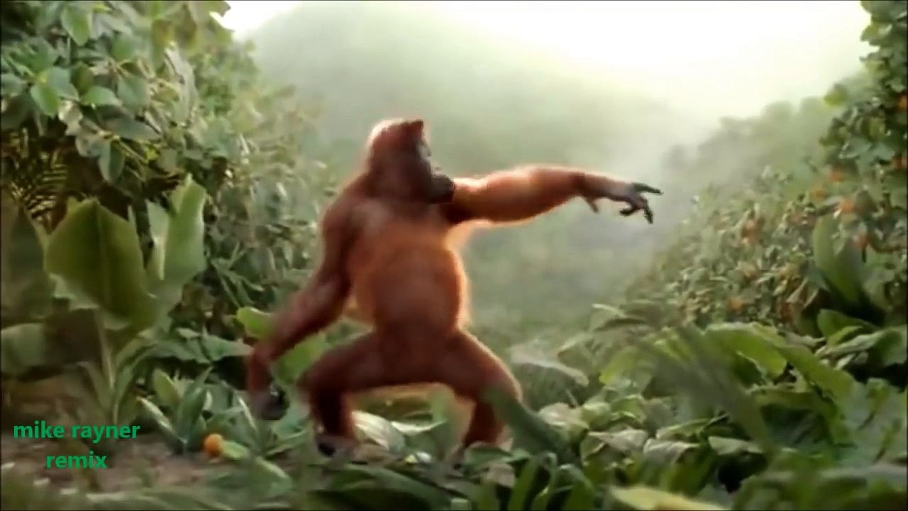 Funny Ape Song. Cartoon Parody. Dance Music Pop Songs. (Dancing Gorilla) Kids Cartoons movies 2015