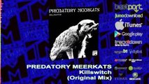 PREDATORY MEERKATS - Killswitch (Original Mix) [Interesting Music]