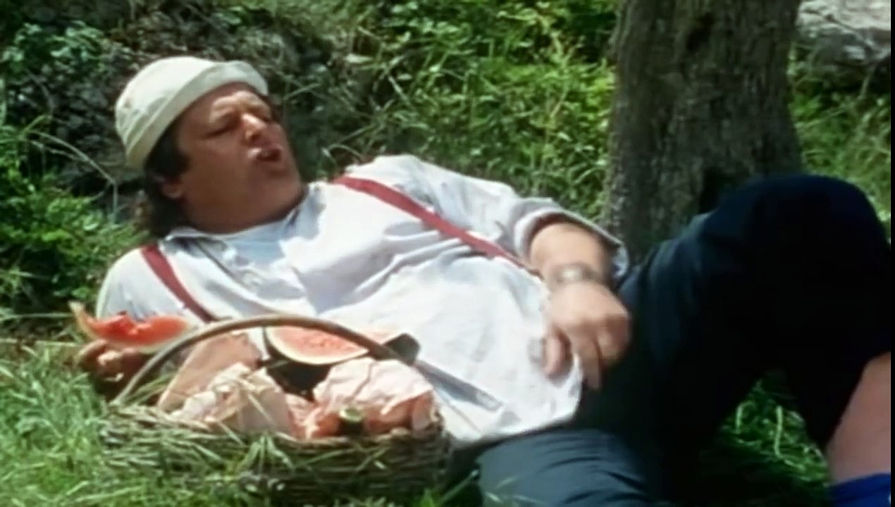 Der Sonne entgegen Folge 02 Aus alt mach neu Österreich