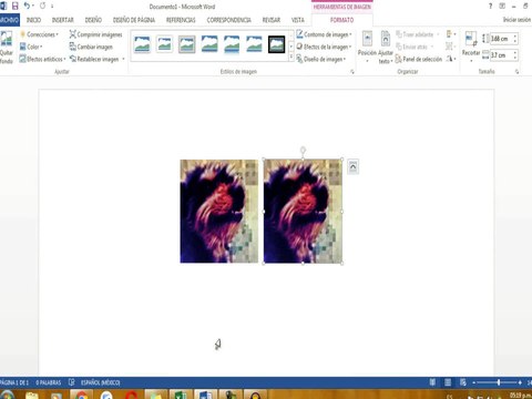Como ahorrar tinta en impresoras HP cambiar calidad a borrador