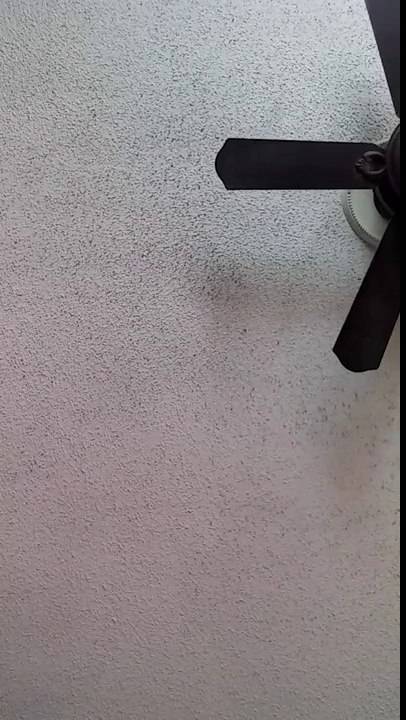 Cute BLACK Girl Tries Japanese Snacks(MUCKBANG)