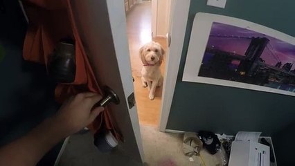 Ruby has learned how to open doors.