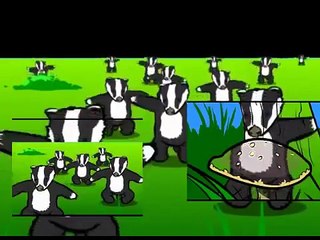badger cubed
