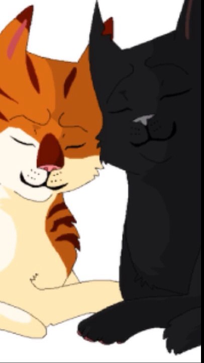Warriors ~ Hollyleaf and Fallenleaves ~ You'll always be my baby ~ Sara Evans