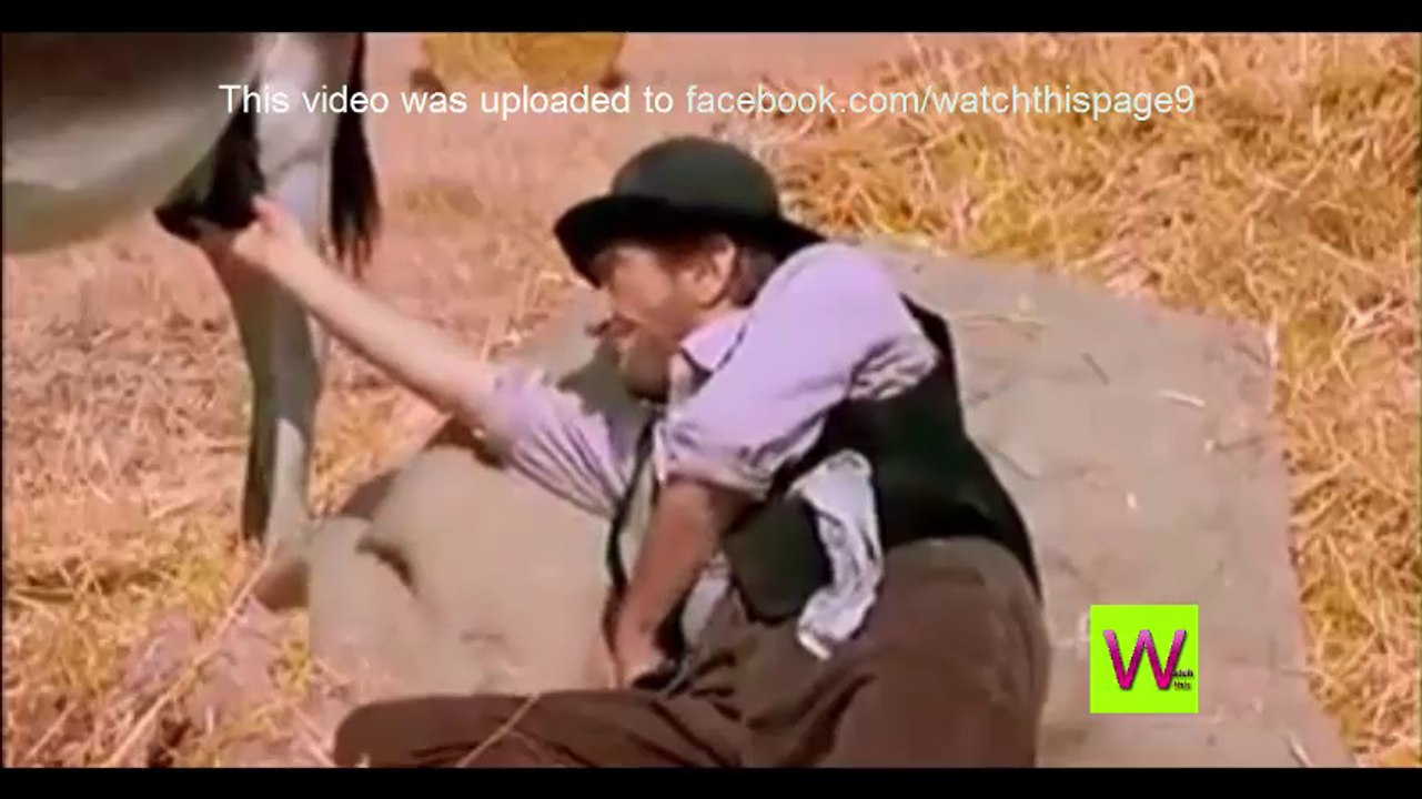 watch this hhhhhhhhhhhhhh  video