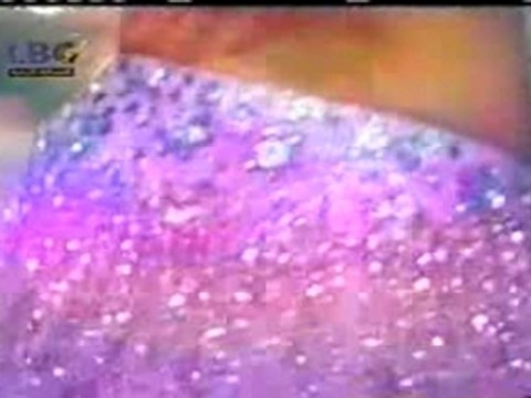 lebanese - arabic belly dancing