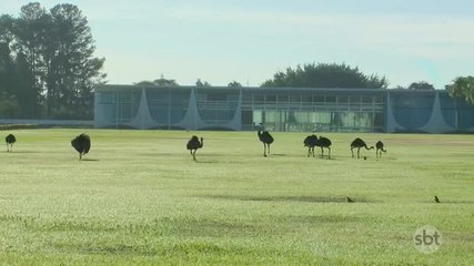 Dilma Rousseff se despede oficialmente do Palácio da Alvorada