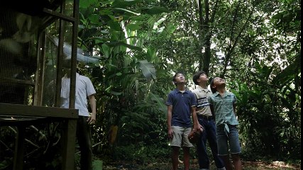 Under the Blood-Red Sun